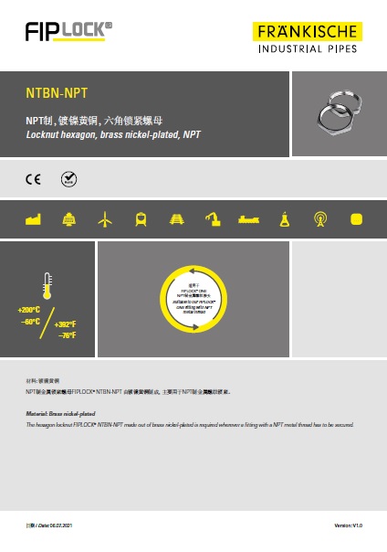 NTBN-NPT 镀镍黄铜，NPT制六角头锁紧螺母（1.6 MB）